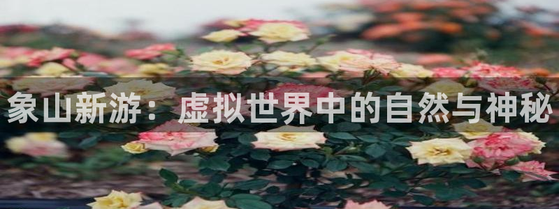 万赢娱乐app官网下载：象山新游：虚拟世界中的自然与神秘