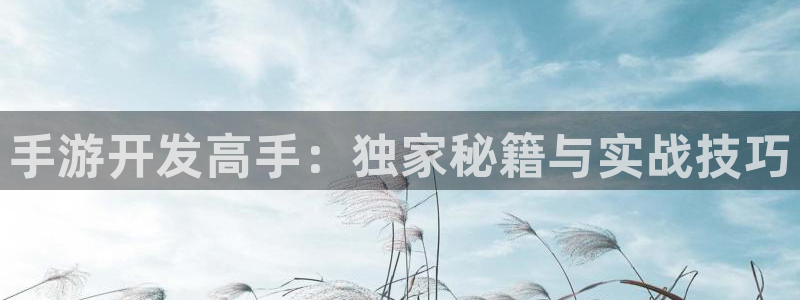 万赢娱乐官网版下载：手游开发高手：独家秘籍与实战技巧