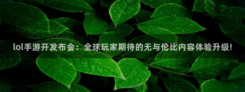 万赢娱乐电子游戏：lol手游开发布会：全球玩家期待的无与伦比