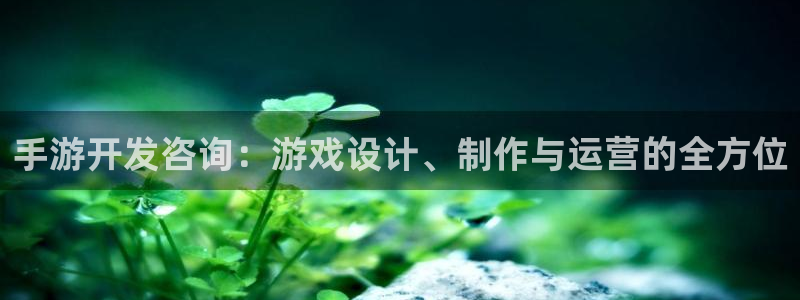 万赢娱乐棋牌：手游开发咨询：游戏设计、制作与运营的全方位