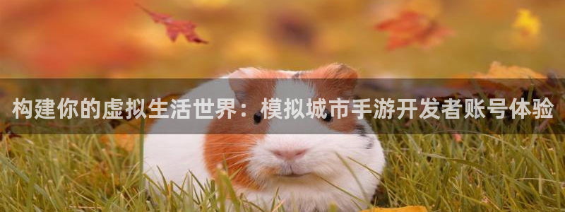 万赢娱乐传媒公司