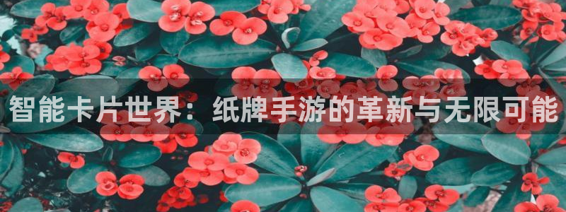 万赢娱乐大转盘：智能卡片世界：纸牌手游的革新与无限可能