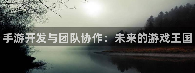 万赢娱乐客服24小时人工服务：手游开发与团队协作：未来的游戏