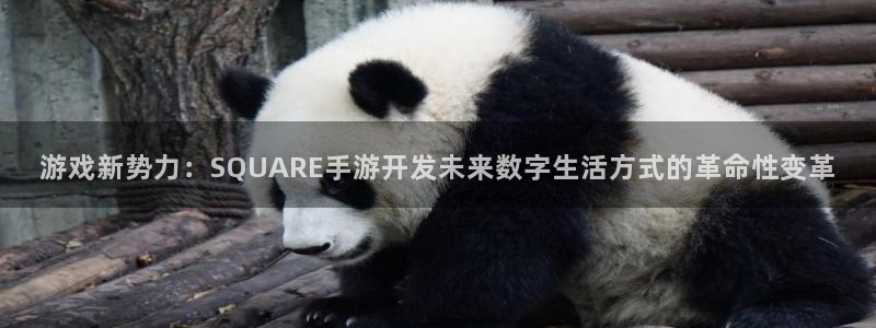 万赢娱乐网址：游戏新势力：SQUARE手游开发未来数字生活方
