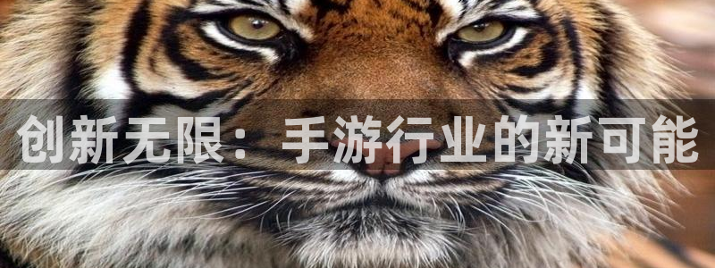 远赢娱乐是正规平台吗：创新无限：手游行业的新可能