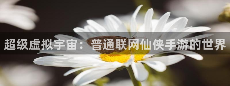 万赢娱乐最新通道：超级虚拟宇宙：普通联网仙侠手游的世界