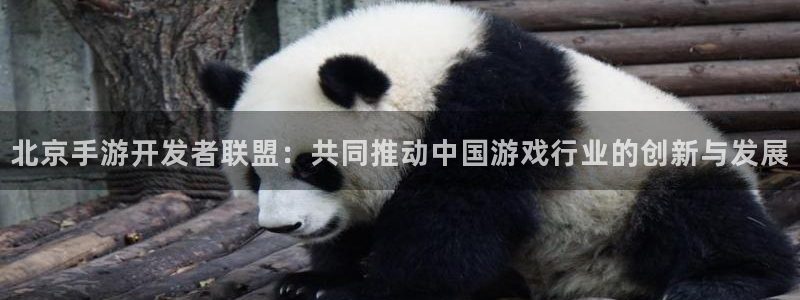 远赢娱乐是正规平台吗：北京手游开发者联盟：共同推动中国游戏行