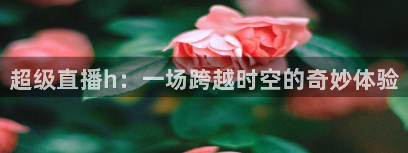 英超直播小九：超级直播h：一场跨越时空的奇妙体验