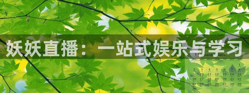 nba直播小九直播：妖妖直播：一站式娱乐与学习