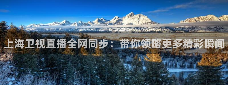小九足球直播在线观看高清：上海卫视直播全网同步：带你领略更多精彩瞬间