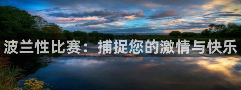 小九英超直播免费观看高清：波兰性比赛：捕捉您的激情与快乐