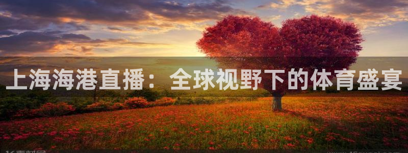 小九直播体育免费观看：上海海港直播：全球视野下的体育盛宴