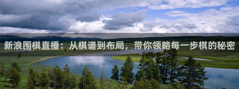 小九今天最新视频：新浪围棋直播：从棋谱到布局，带你领略每一步棋的秘密