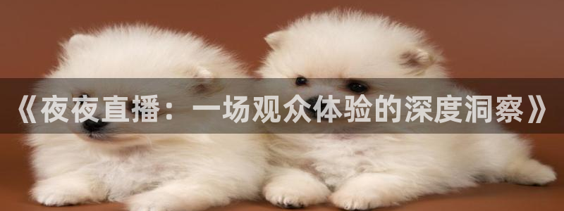足球直播小九直播在线观看：《夜夜直播：一场观众体验的深度洞察》