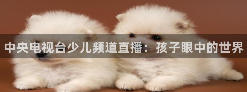 nba视频直播小九直播：中央电视台少儿频道直播：孩子眼中的世界
