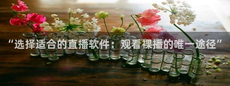 小九直播免费：“选择适合的直播软件：观看裸播的唯一途径”