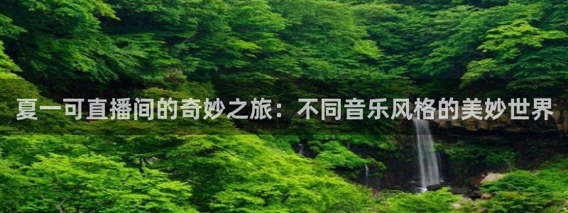 小九直播nba免费观看下载：夏一可直播间的奇妙之旅：不同音乐风格的美妙世界