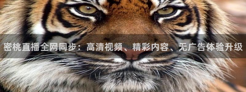 小九直播nba在线观看：密桃直播全网同步：高清视频、精彩内容、无广告体验升级